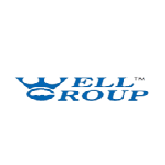 Well Group Logo